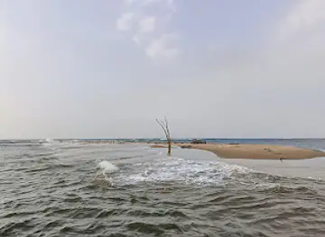 Seagull island devbag