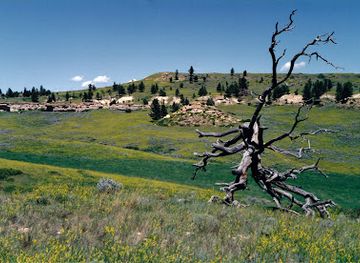 montana/great-plains/attraction/rosebud-battlefield-state-park