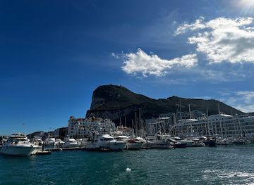 gibraltar/gibraltar-harbour/attraction/dolphin-adventure