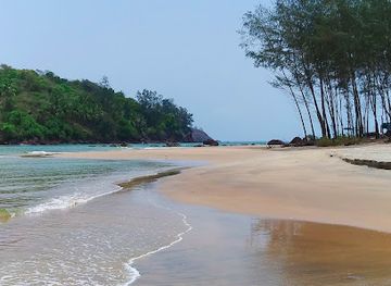 india/goa-beaches/attraction/galgibaga-beach