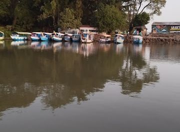 ethiopia/lake-tana/attraction/mango