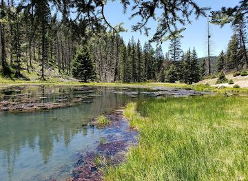new-mexico/valles-caldera-national-preserve/attraction/alamo-canyon