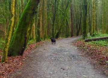 ireland/sligo/attraction/belleek-woods