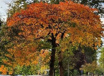 netherlands/amsterdam/attraction/sarphatipark