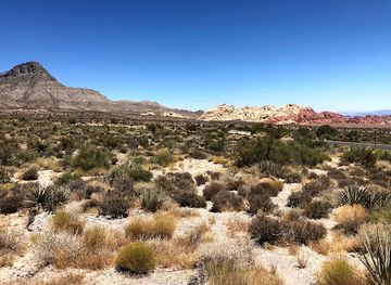 california/colorado-desert/attraction/the-world-s-tallest-thermometer