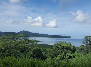 micronesia/ant-atoll/attraction/japanese-wwii-anti-aircraft-guns