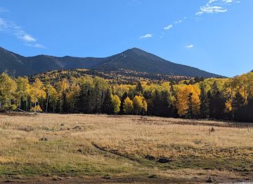 arizona/san-francisco-peaks/attraction/aspen-corner