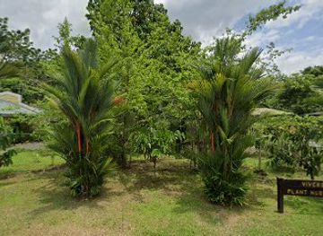 panama/gamboa/attraction/gamboa-rainforest-resort-orchids-exibit