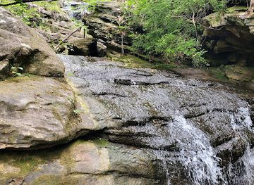 Moss Rock Preserve