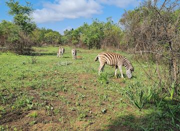 south-africa/pretoria/attraction/faerie-glen-nature-reserve