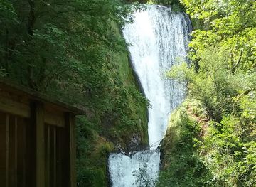 oregon/columbia-river-gorge/attraction/shepperd-s-dell-falls