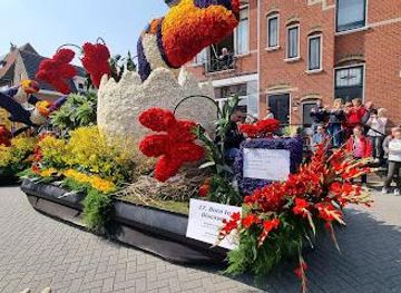 netherlands/rotterdam/attraction/vvv-lisse