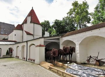 germany/swabia/attraction/european-asparagus-museum