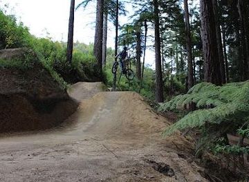 new-zealand/bay-of-plenty/attraction/mohawk-ebike-tours