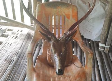 india/arunachal-pradesh/attraction/pasighat-town-oldest-town-the-gateway-of-arunachal-pradesh-east-siang-district-arunachal-pradesh-india