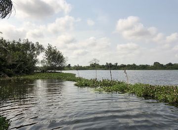 ghana/keta/attraction/songor-lagoon-protected-area