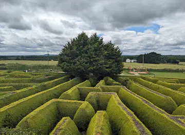 The Kildare Maze