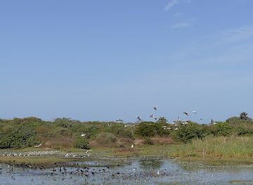 the-gambia/foni-brefet/attraction/kartong-bird-watching-observatory