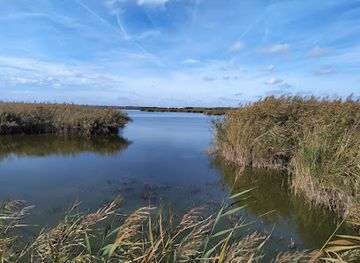 hungary/central-transdanubia/attraction/velence-and-dinnyes-nature-conservation-area