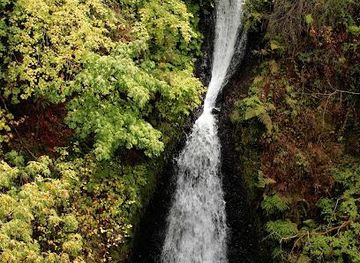 washington/columbia-river-gorge/attraction/shepperd-s-dell-state-natural-area
