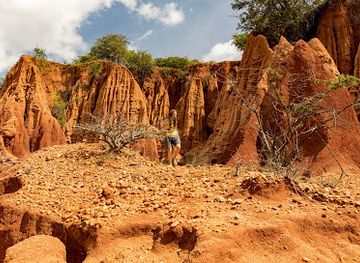 ethiopia/yabelo-wildlife-sanctuary/attraction/soil-erosion-canyon-borena