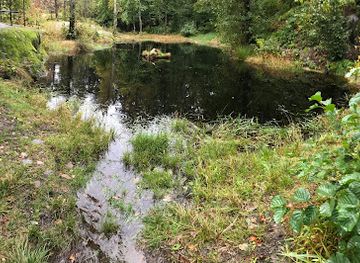 norway/vestfold/attraction/svarttjern