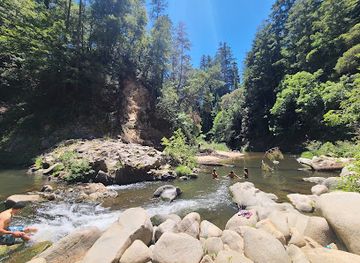 california/redwood-national-and-state-parks/attraction/garden-of-eden-henry-cowell-redwood-state-park