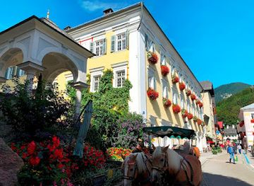austria/salzkammergut/attraction/horse-carriage-drive-station