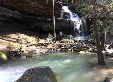 Bankhead National Forest