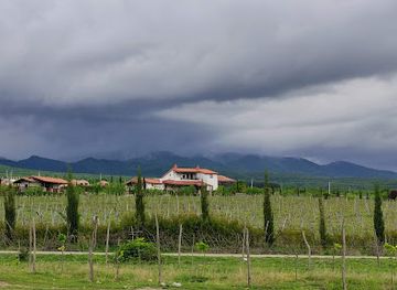 georgia/kakheti/attraction/shalauri-wine-cellar