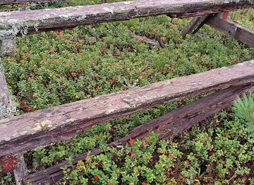 norway/trysil/attraction/ljordalen-norge