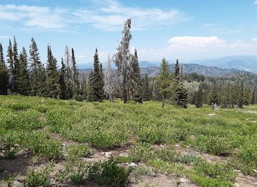 idaho/boise/boise-bench/attraction/boise-national-forest