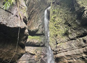 saint-vincent-and-the-grenadines/saint-andrew/attraction/will-be-free-falls