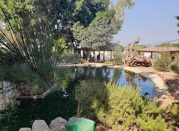 israel/negev/attraction/petting-zoo