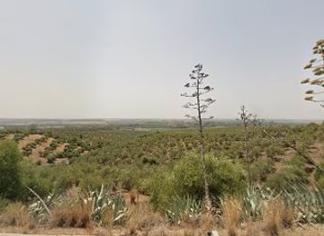 spain/andalusia/attraction/medina-andalusia