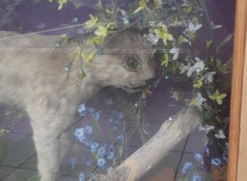 illinois/chicagoland/attraction/jurica-suchy-nature-museum