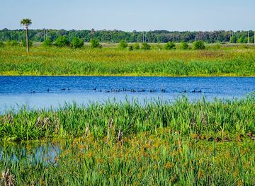 florida/southwest-florida/attraction/sweetwater-wetlands-park