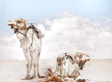 morocco/merzouga-region/attraction/ali-sara-s-desert-palace