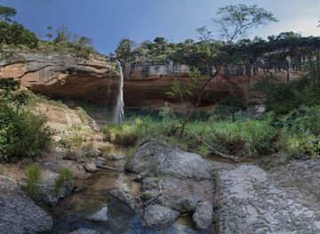 bolivia/amboro-national-park/attraction/tall-mirror