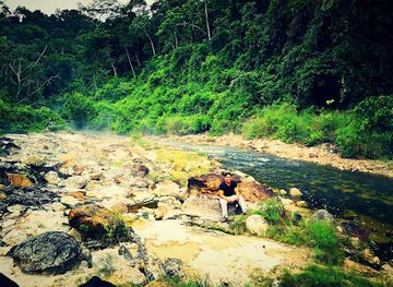 peru/ucayali/attraction/parque-nacional-sierra-del-divisor