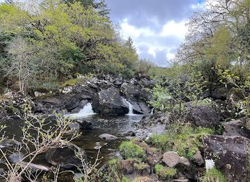 ireland/killarney-national-park/attraction/riverowenreagh-river-view