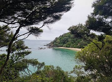 new-zealand/northland/attraction/whale-bay