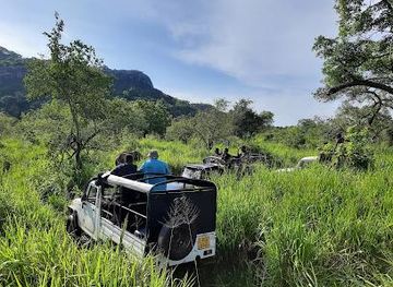 sri-lanka/anuradhapura/attraction/hurulu-eco-park-wild-elephant-safari