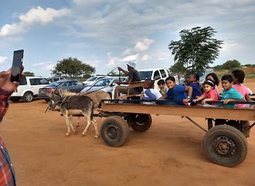 botswana/kweneng-district/attraction/lily-s-petting-farm