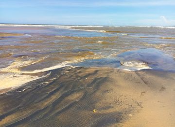 kenya/malindi/attraction/river-sabaki-estuary