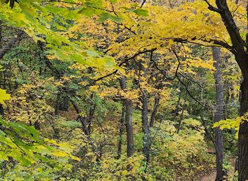 south-dakota/northeast-south-dakota/attraction/sica-hollow-state-park