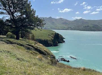 new-zealand/christchurch/attraction/quail-island-adventures