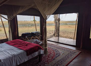 zambia/lufupa-river-camp/attraction/busanga-plains-camp