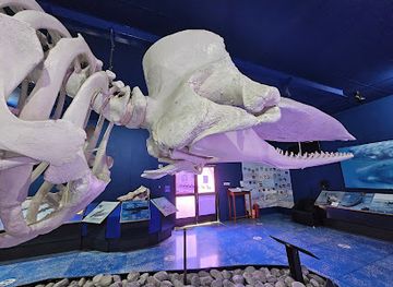 oman/muscat-governorate/attraction/natural-history-museum