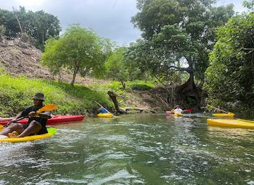 vanuatu/efate/attraction/vanuatu-ecotours